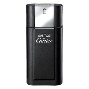 Santos Cartier mejor precio